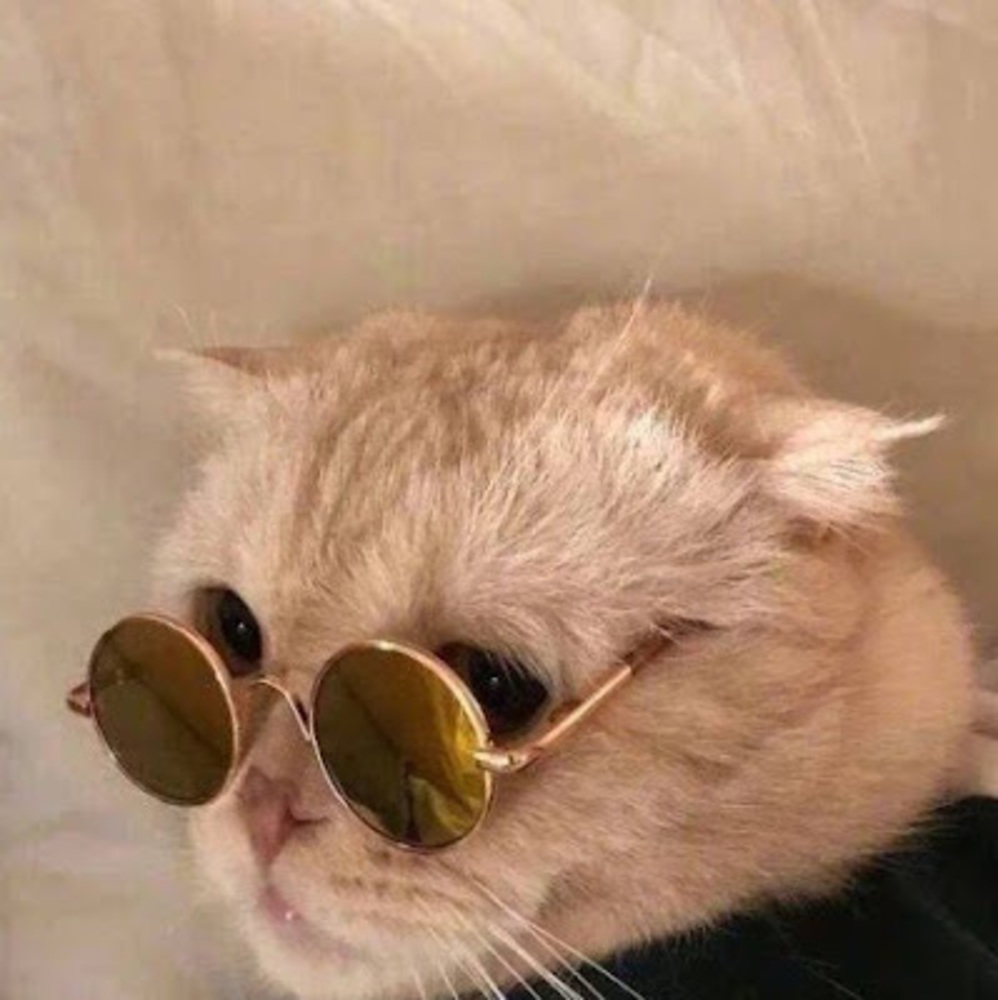 Meet your Posher, Agnes